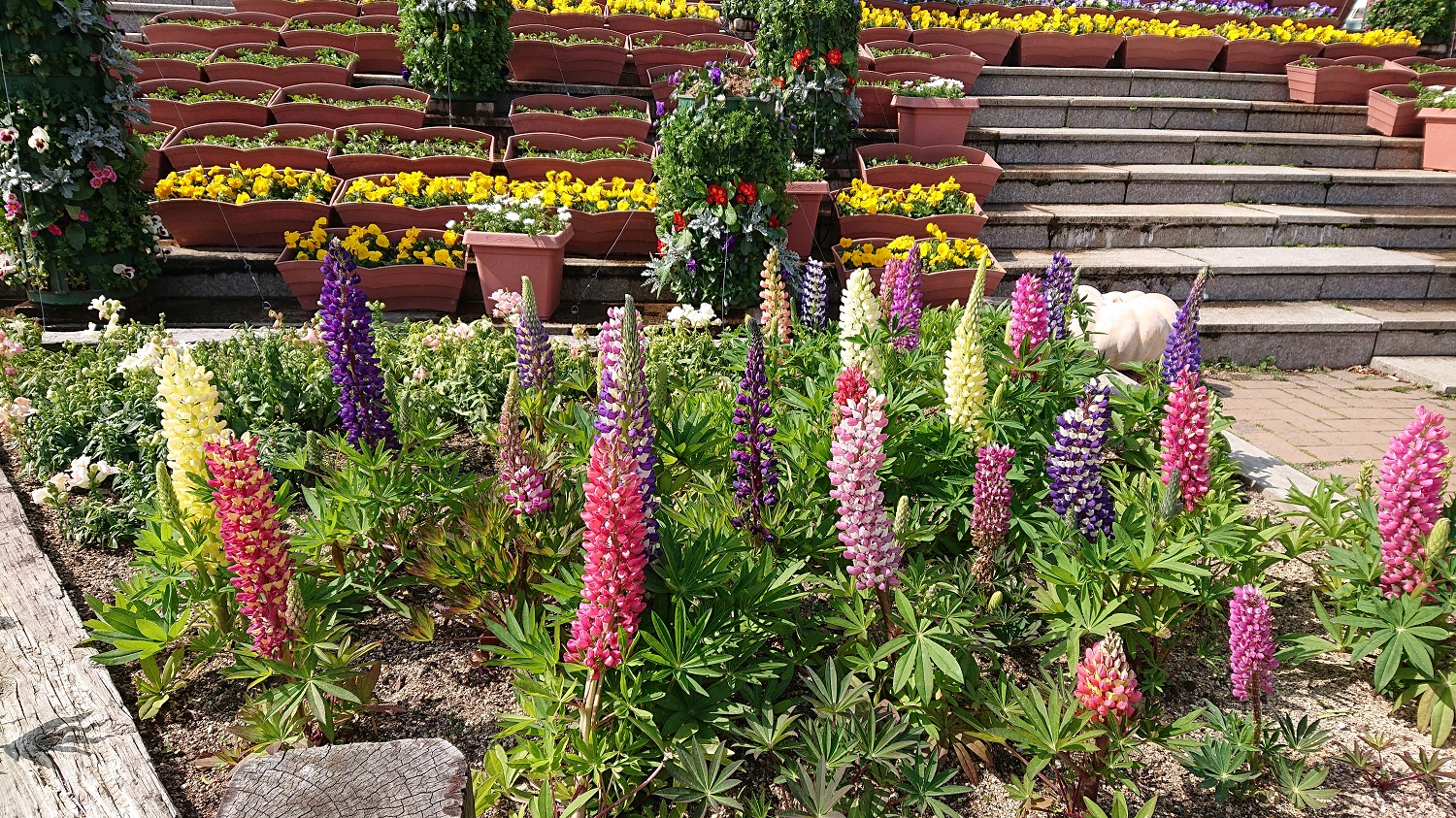 経理ママでもコール業務に挑戦！