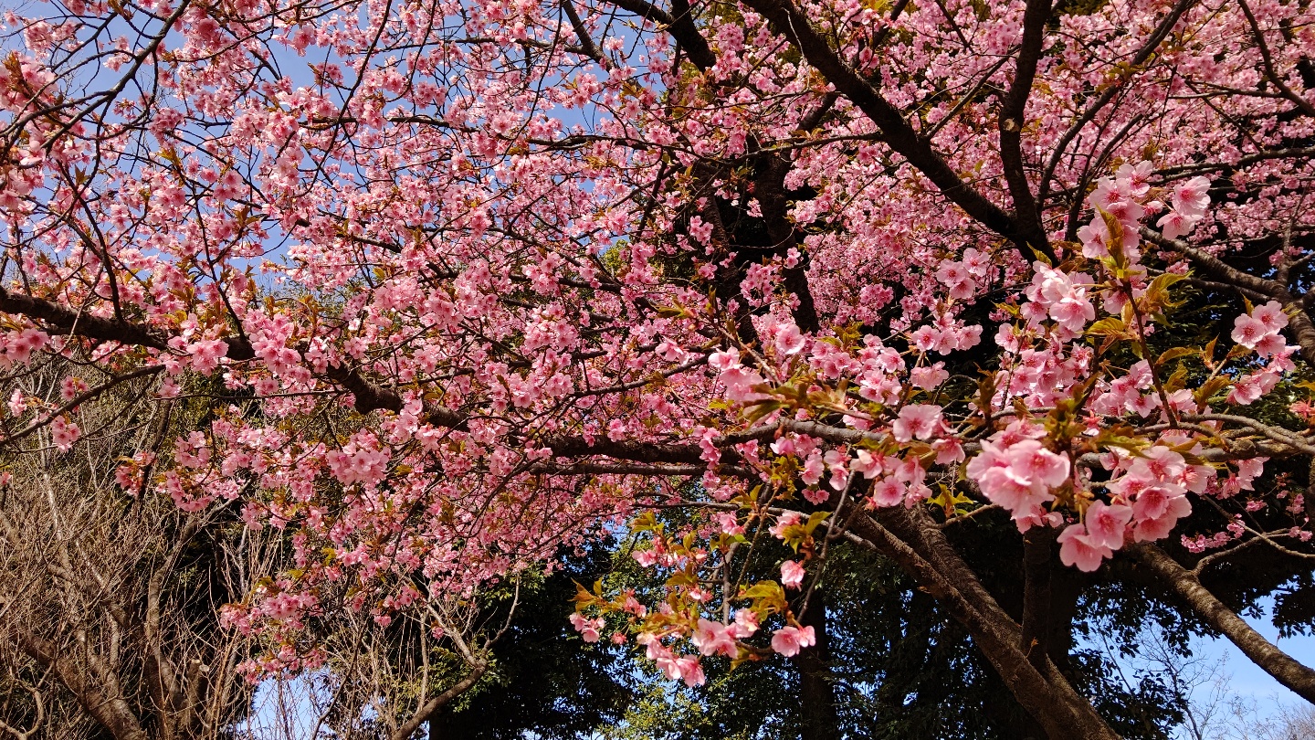 週末の過ごし方