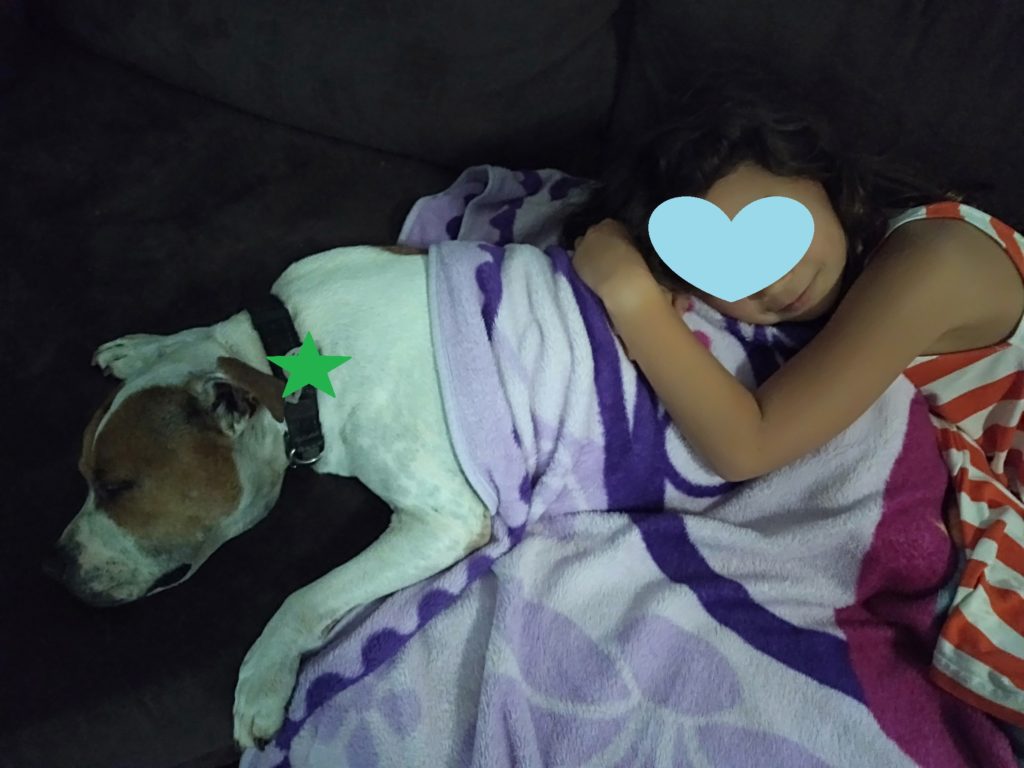 お子さんとワンちゃんが仲良く寝ている様子