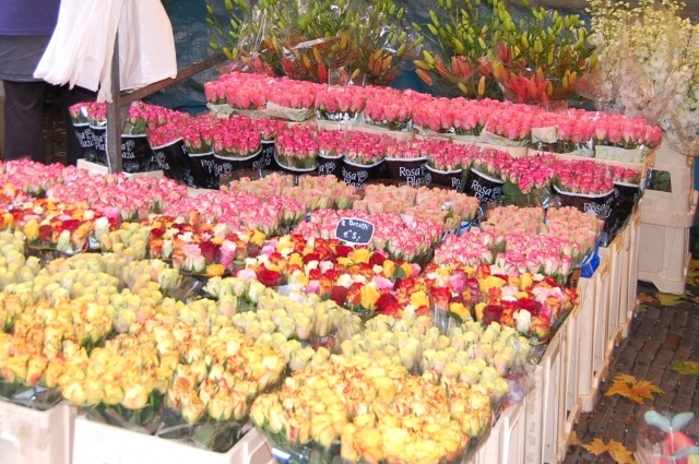 オランダでトランジット!3時間でもアムステルダムを楽しめるおすすめ観光