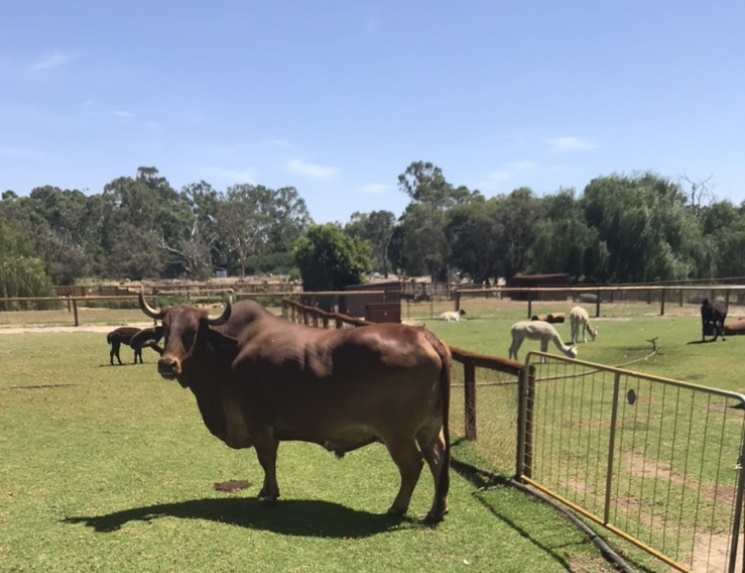 パースでのんびり家族時間★