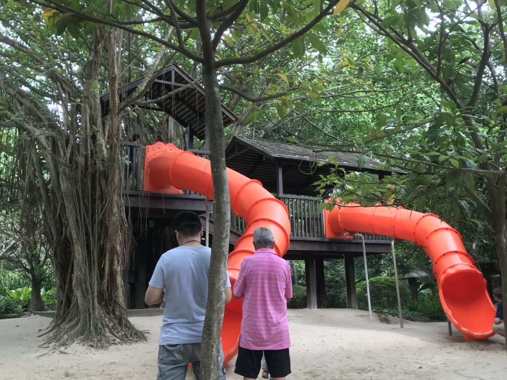 ツリーハウス