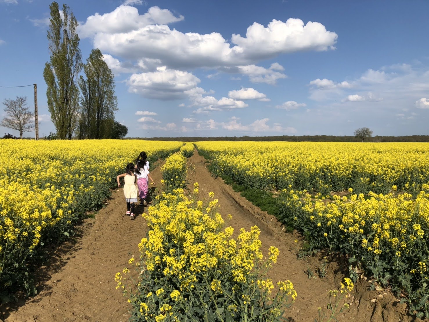 只今フランス親子留学中！在宅ワークで学生時代の夢を子どもと実現