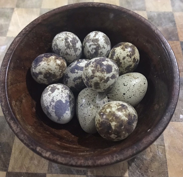 うずらのたまご