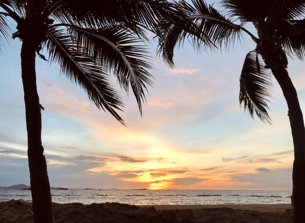 ニューノーマルを乗り切る必須アイテム