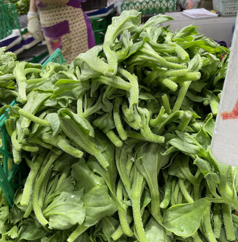 アイスプラント