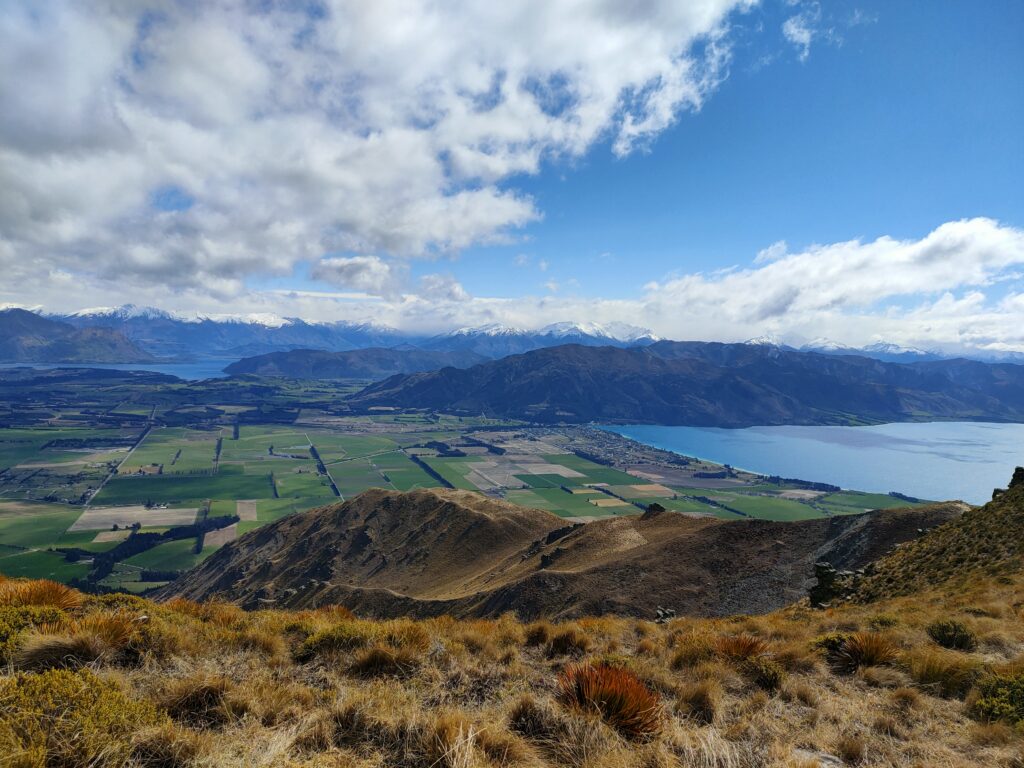 ハイキング中の景色