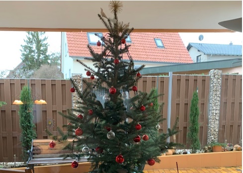 クリスマスツリー