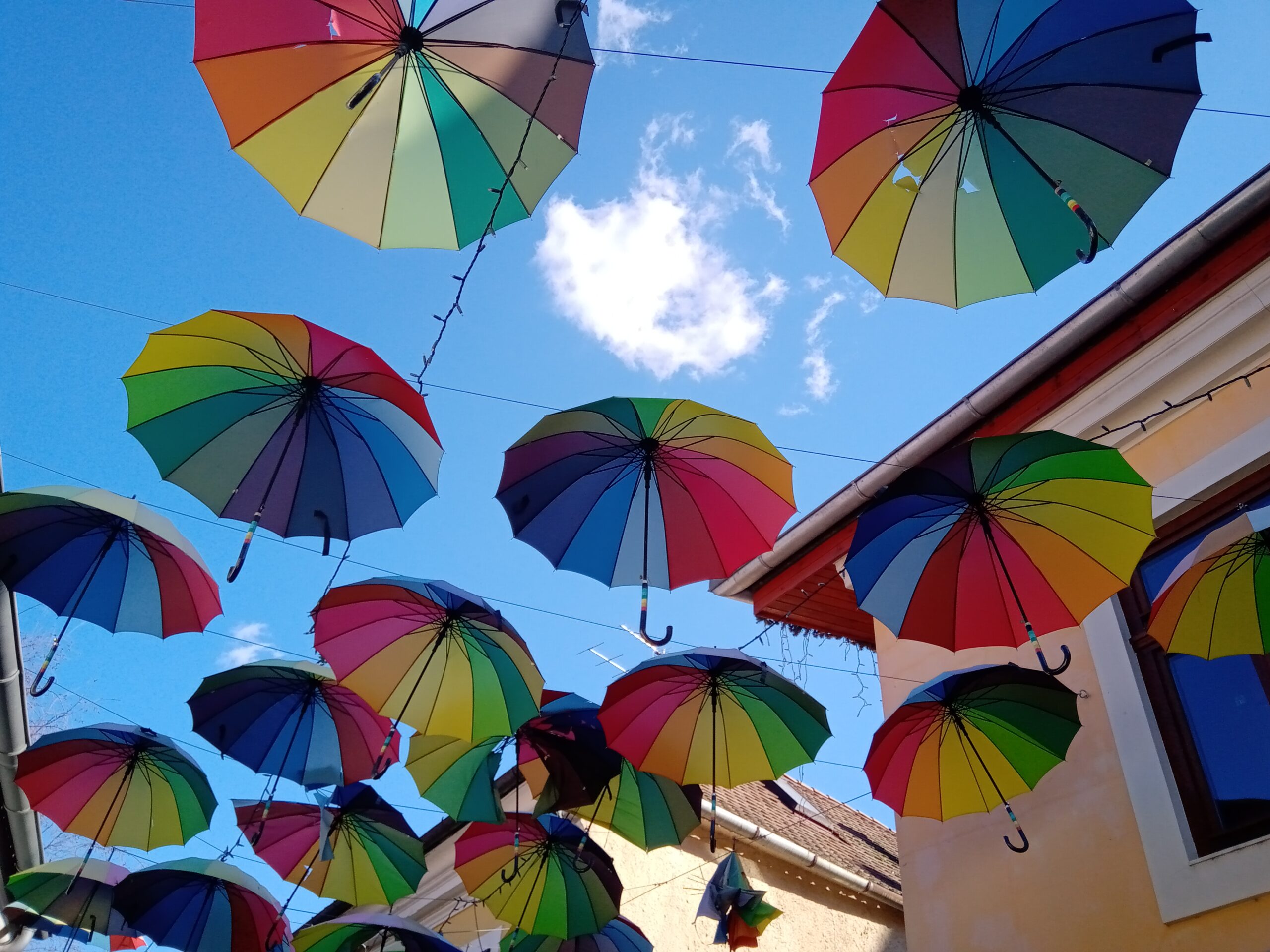 在宅ワークで毎日の自炊も簡単、自在に！