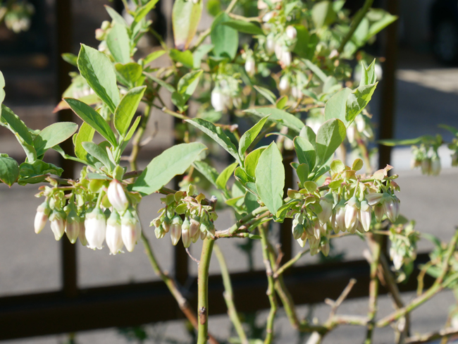 仕事のやる気がでない！そんな時の対処法