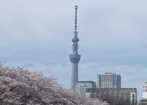 親子でHappy♪ 未経験でも隙間時間でリモートワーク！！