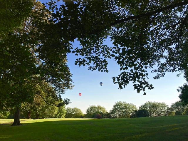 在宅ワークで始める!初めてのWebディレクター