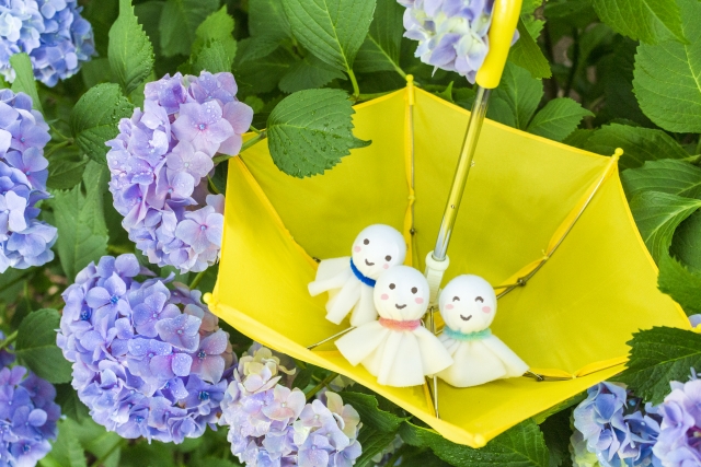 傘と紫陽花、テルテル坊主